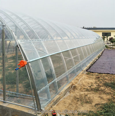 Small Single Span PE Plastic Film Greenhouse For Vegetable Agriculture 10-100m Length