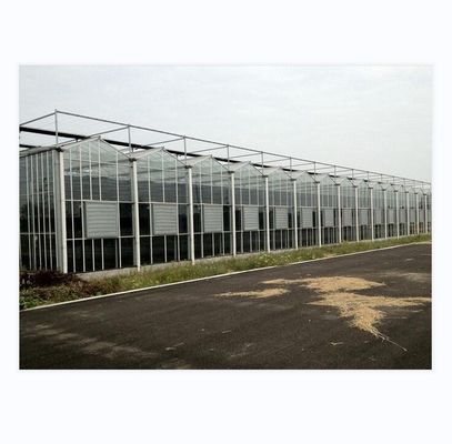Large Agricultural Intelligent Holland Greenhouse Glass for Tomatoes Cucumber Lettuce