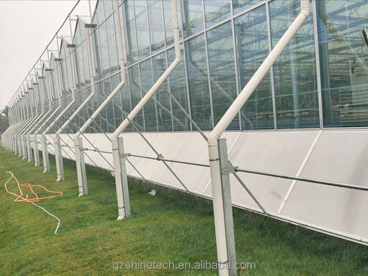 Large Agricultural Intelligent Holland Greenhouse Glass for Tomatoes Cucumber Lettuce