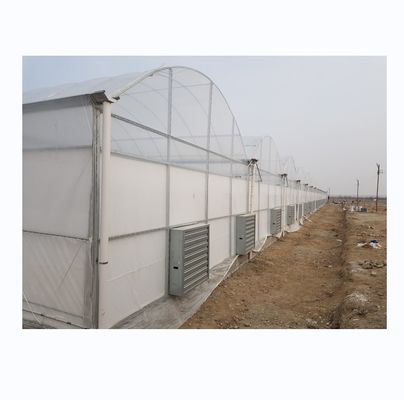 Super Strong Resistance Multi Span Agricultural Greenhouse By Shine Tech