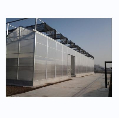 PC Plastic Polycarbonate Sheet Multi Span Hydroponic Greenhouse