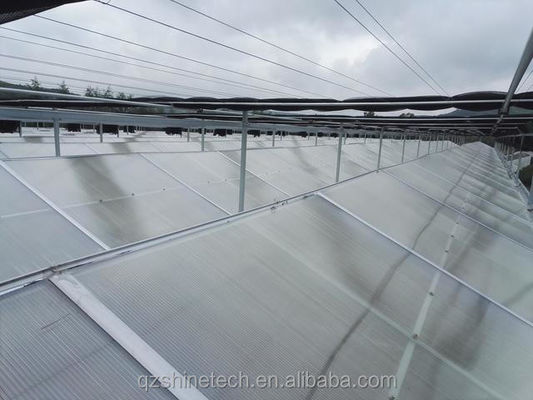 PC Plastic Polycarbonate Sheet Multi Span Hydroponic Greenhouse