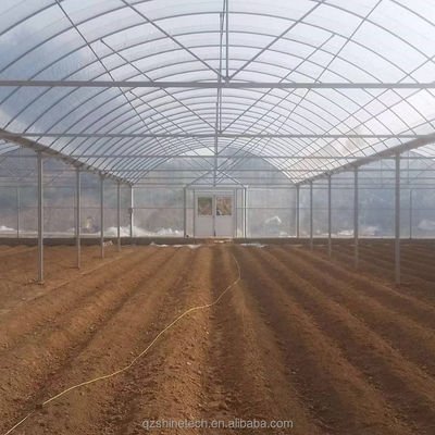 Super Strong Resistance Multi Span Agricultural Greenhouse By Shine Tech