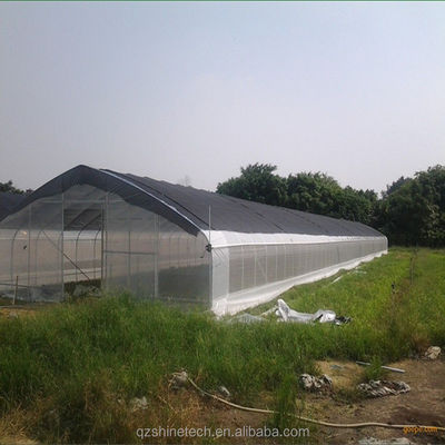 High Tunnel Film Covered Tomato Greenhouse with Shade Net Single Layer 10-100m Length