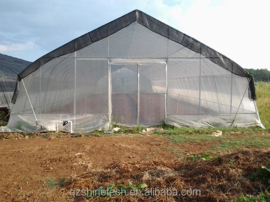 High Tunnel Film Covered Tomato Greenhouse with Shade Net Single Layer 10-100m Length