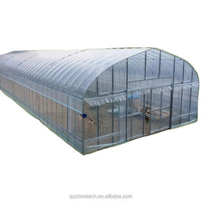 High Tunnel Film Covered Tomato Greenhouse with Shade Net Single Layer 10-100m Length