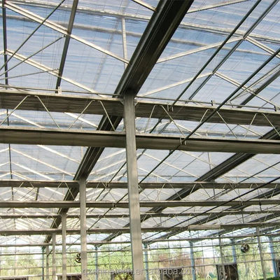 Large Agricultural Intelligent Holland Greenhouse Glass for Tomatoes Cucumber Lettuce