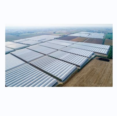 Customizable Size Multi Span Agricultural Greenhouses With Hot Dip Galvanized Steel Tube
