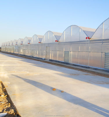 Customizable Size Multi Span Agricultural Greenhouses With Hot Dip Galvanized Steel Tube
