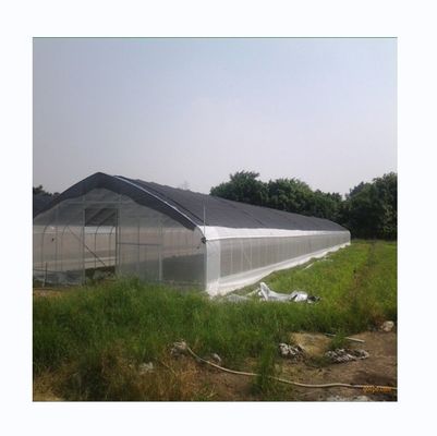 Customized Single Span Greenhouse For Cucumber Cultivation 10-100m Length