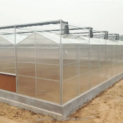 Tomato Grow Agriculture Greenhouses Manufacturers in Venlo Style with PC Sheet Cover