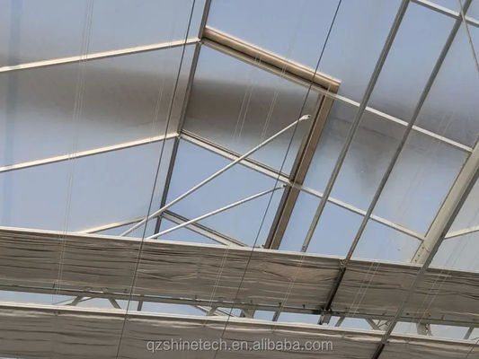 4m Bay Width Multi Span Greenhouse Agricultural Cover Material Super Strong Resistance
