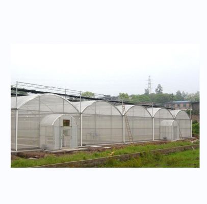 Super Strong Resistance Agriculture Multispan Greenhouse Frame for Growing Vegetables