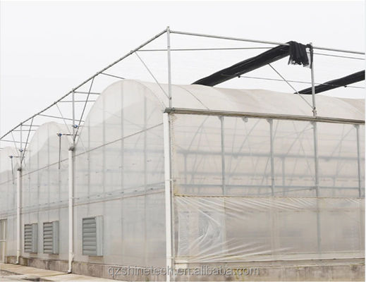 Super Strong Resistance Agriculture Multispan Greenhouse Frame for Growing Vegetables