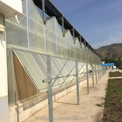 4m Bay Width Multi Span Greenhouse Agricultural Cover Material Super Strong Resistance