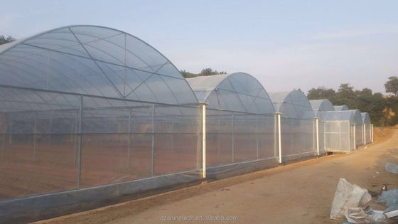 Super Strong Resistance Agriculture Multispan Greenhouse Frame for Growing Vegetables