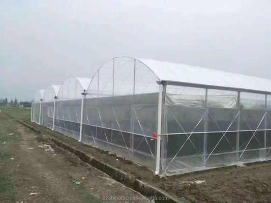 Super Strong Resistance Agriculture Multispan Greenhouse Frame for Growing Vegetables
