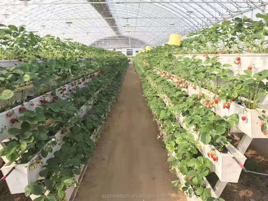 Condition PVC-U Water Pipe for Strawberry Gutter Farming in Hydroponic System