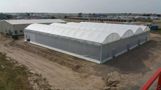 Super Strong Resistance Agriculture Multispan Greenhouse Frame for Growing Vegetables