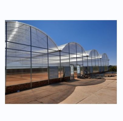 Multi Span Commercial Agricultural Smart Venlo PC Greenhouse 4.0-8.0M Height