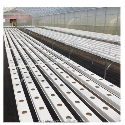 Ventilated Hot Dip Galvanized Steel Tube Frame Tunnel Agriculture Film Greenhouse