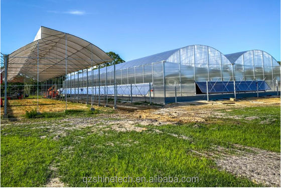 Multi Span Commercial Agricultural Smart Venlo PC Greenhouse 4.0-8.0M Height