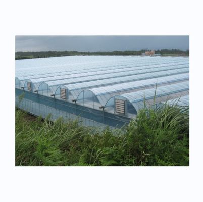 Large Multi Span Agricultural Film Greenhouses With Optional Cooling System