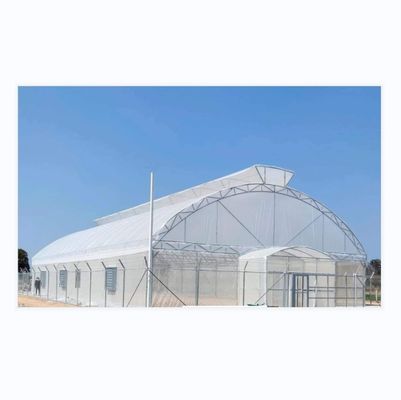 Drawing Shine Tech Single Span Tunnel Agricultural Greenhouses