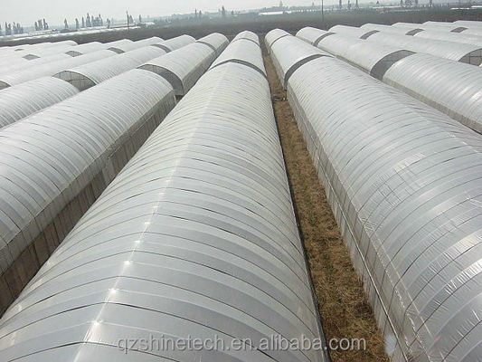 Drawing Shine Tech Single Span Tunnel Agricultural Greenhouses