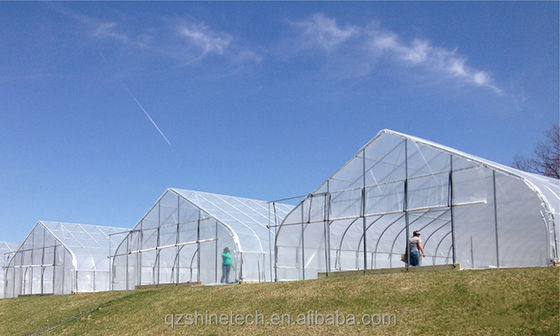 Drawing Shine Tech Single Span Tunnel Agricultural Greenhouses