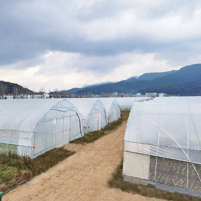 Drawing Shine Tech Single Span Tunnel Agricultural Greenhouses