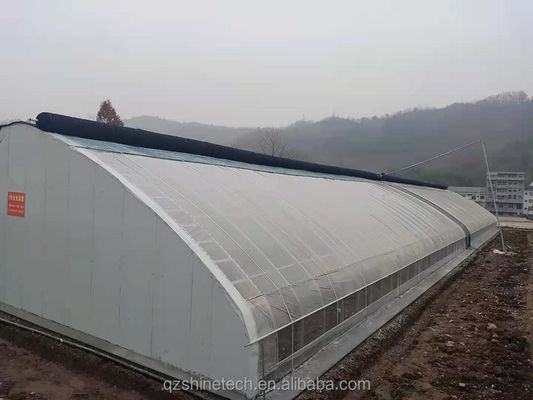 Agricultural PE Greenhouse For Winter Insulation And Small Scale Strawberry Planting