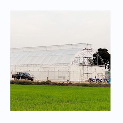 200 micron UV Protection PE Film Single Tunnel Greenhouse For Tomato and Cucumber Growth