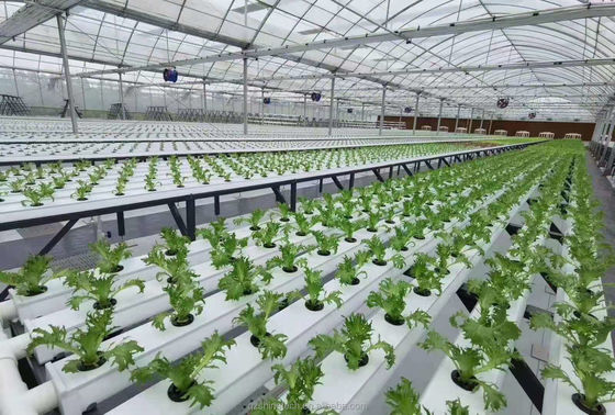 Horizontal Type PVC NFT Channel for Customized Size Hydroponic Leafy Vegetable Farming