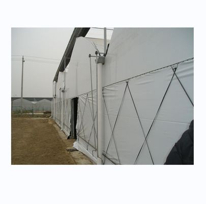 Large Film Greenhouse Farming Fully Automated Light Deprivation System For Agriculture