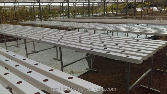 Horizontal Type PVC NFT Channel for Customized Size Hydroponic Leafy Vegetable Farming