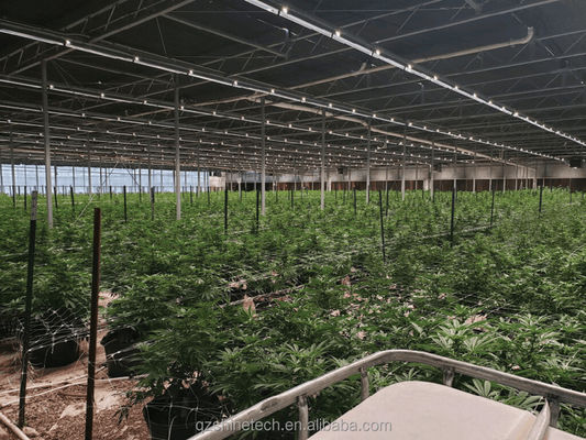 Large Film Greenhouse Farming Fully Automated Light Deprivation System For Agriculture