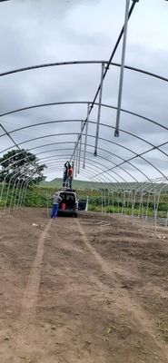 Single Span Greenhouse Simple Frame Poly Tunnel Film Greenhouse For Agricultural