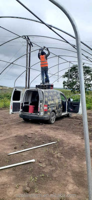 Single Span Greenhouse Simple Frame Poly Tunnel Film Greenhouse For Agricultural
