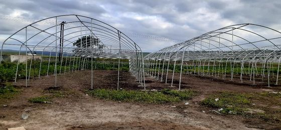 Single Span Greenhouse Simple Frame Poly Tunnel Film Greenhouse For Agricultural