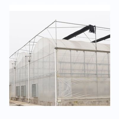 Multi Span Agricultural Greenhouses With PE Film Covering And Gutter Connection