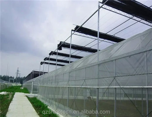 Multi Span Agricultural Greenhouses With PE Film Covering And Gutter Connection