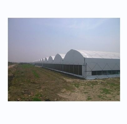 Hot Dip Galvanized Steel Frame Movable Bench Automated Light Deprivation Greenhouse