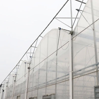 Multi Span Poly Film Greenhouse for Agriculture Optional Cooling and Irrigation System