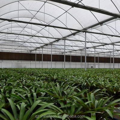 Multi Span Poly Film Greenhouse for Agriculture Optional Cooling and Irrigation System