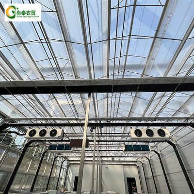 Hot Dip Galvanized Steel Frame Movable Bench Automated Light Deprivation Greenhouse