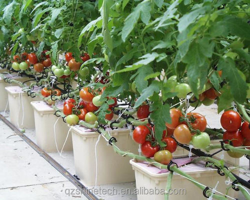 30*25*23cm Dutch Bucket Complete Hydroponic Growing System For Tomato Cucumber Pepper