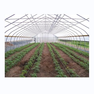 Cucumber Farming Small Agricultural Tunnel Greenhouse with Galvanized Steel Frame