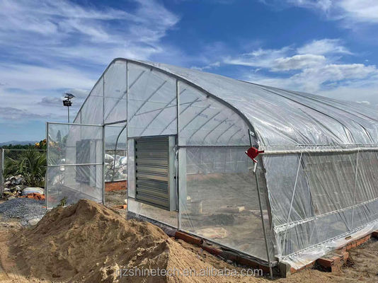 Cucumber Farming Small Agricultural Tunnel Greenhouse with Galvanized Steel Frame