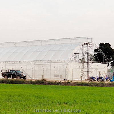 Cucumber Farming Small Agricultural Tunnel Greenhouse with Galvanized Steel Frame
